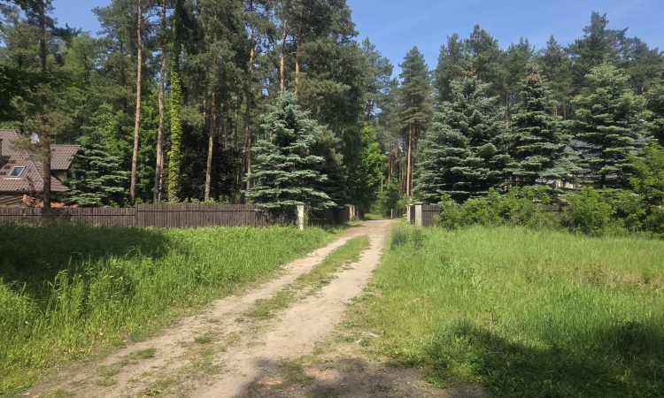 za Sarnią, 3 do wyboru, warunki zabudowy | Zdjęcie główne