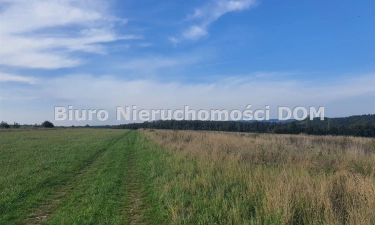 Działki budowlane gmina Mstów | Zdjęcie główne