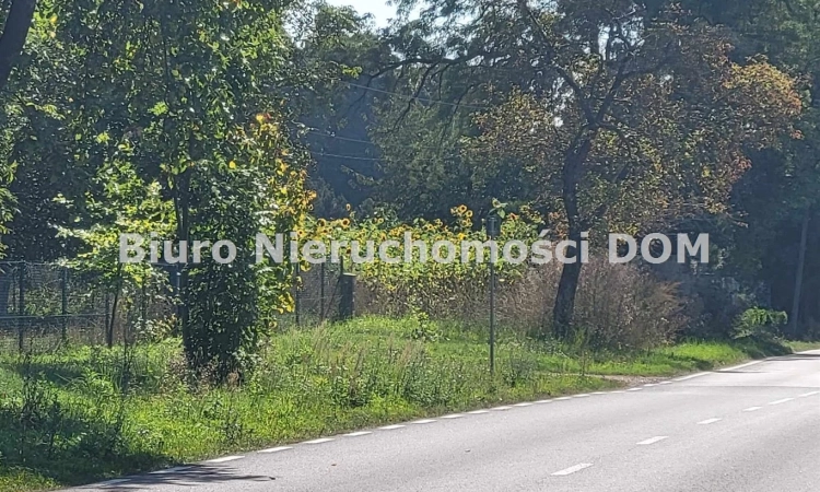 Działka budowlana Kolonia Borowno | Zdjęcie główne