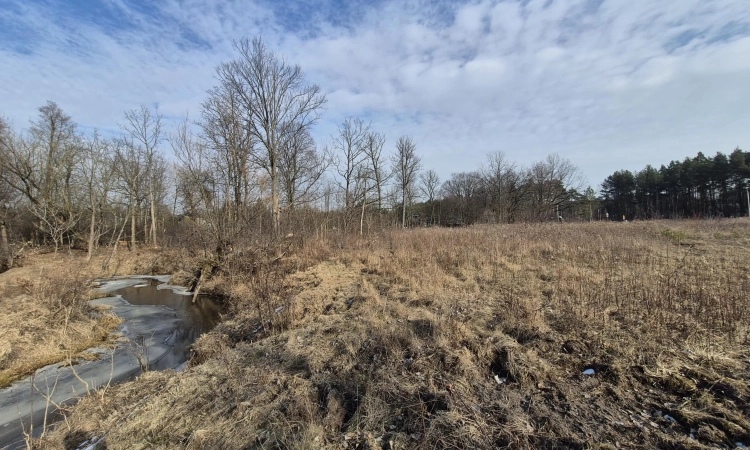 z zejściem do rzeki pod usługii lub małe osiedle | Zdjęcie główne
