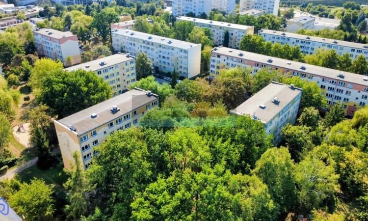 3 pokoje przy SKM/KM - możliwy kredyt | Zdjęcie główne