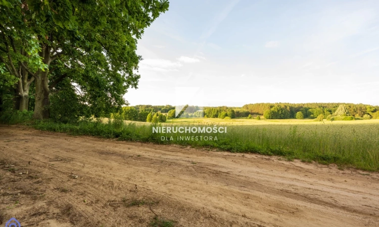 Kameralne działki budowlane w Kłodawie, 17-25 ar | Zdjęcie główne