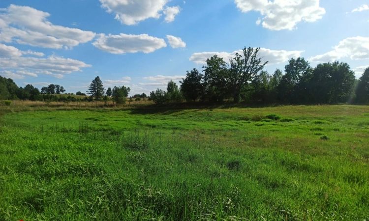 Działka, Zwierzewo | Zdjęcie główne