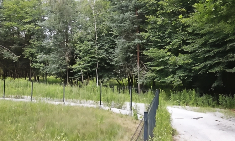 Działka budowlana w Bratucicach, gmina Rzęzawa | Zdjęcie główne