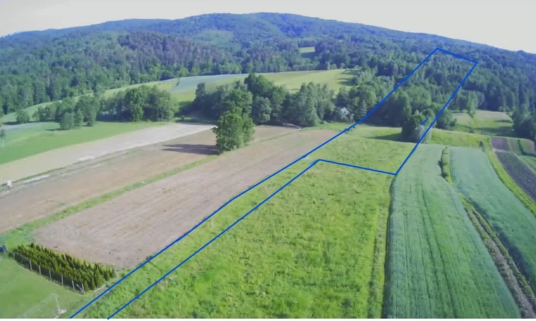 Działka w Lipnicy Dolnej - 99 arów | Zdjęcie główne