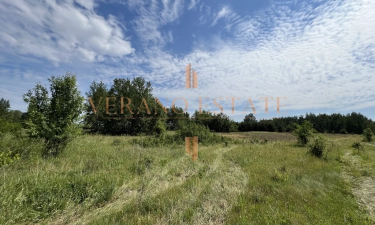 Działka rolna 3,5 ha | Dojazd asfaltowy | Zdjęcie główne