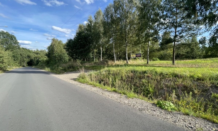 WZ | Media | Zalew w Suchedniowie | Kamionka | Dro | Zdjęcie główne