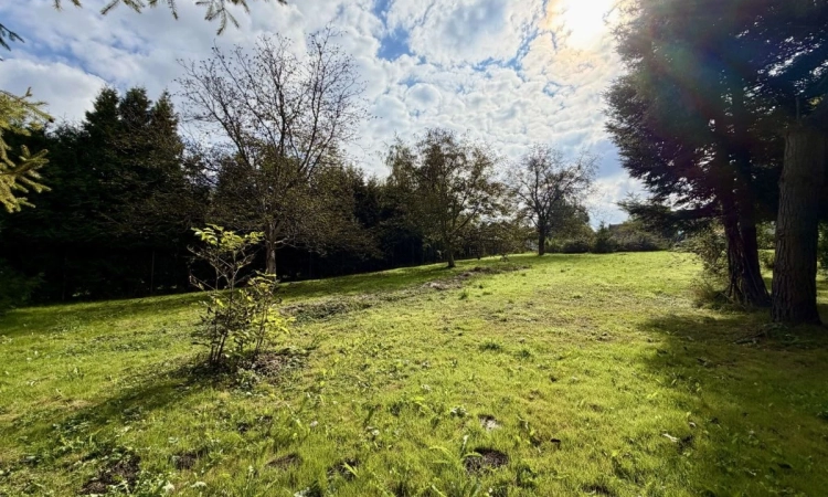 ➡️Media➡️Centrum➡️Mieszkaniowo-usługowa➡️Droga➡️Bl | Zdjęcie główne