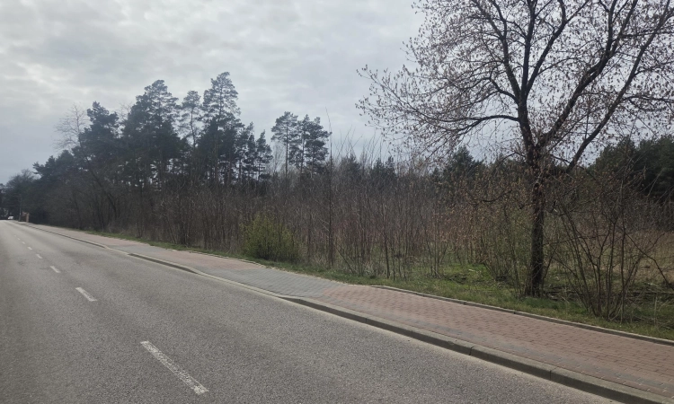 media, lokalizacja, rzeka, wz na osiem domów | Zdjęcie główne