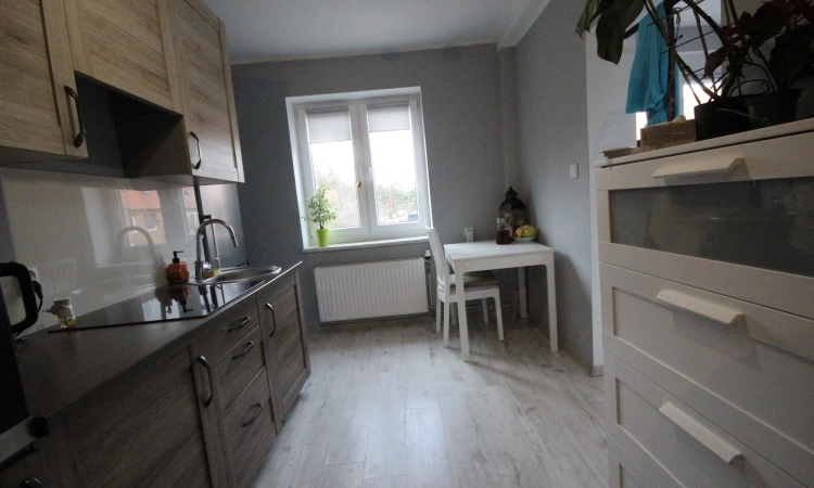 1pok, 24met, okolice Parku Prackiego TARAS/PO REMONCIE (Wrocław) | Zdjęcie główne