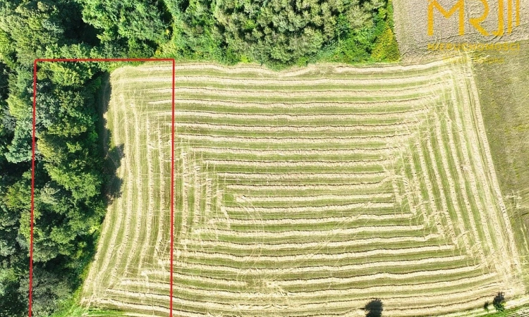Działka rolna 0,33 ha w gminie Ryglice | Zdjęcie główne