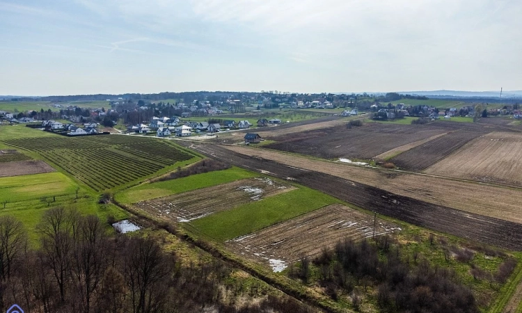 Działka rolna w miejscowości Pawęzów | Zdjęcie główne