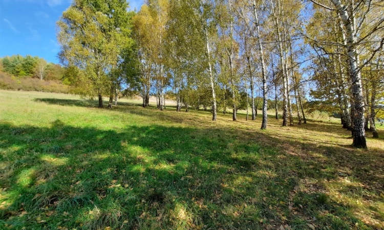 Piękny Dom Z widokiem Na Las | Zdjęcie główne