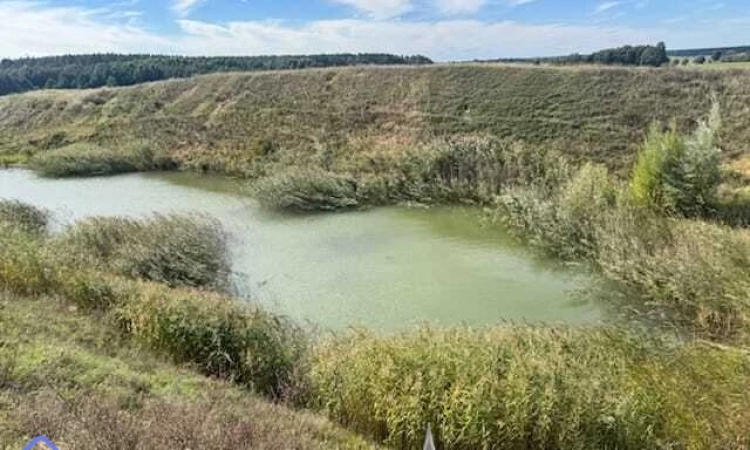 Nieczynna kopalnia piasku, okolice Milicza | Zdjęcie główne