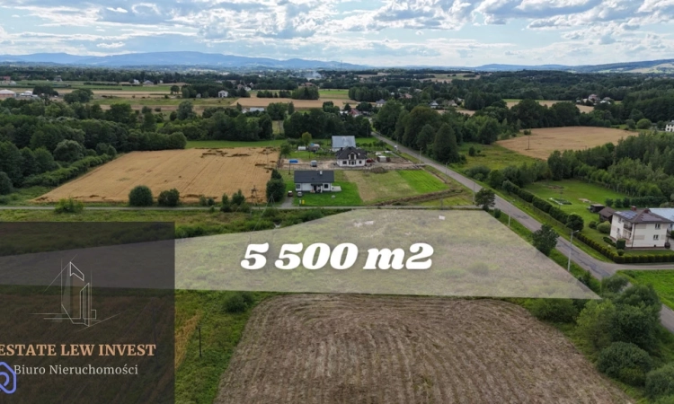 Działka do wynajęcia 5 500 m2 |Budowlana -Usługowa | Zdjęcie główne