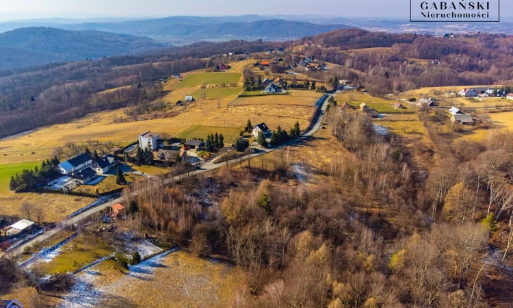 Działka budowlano-rolna w Dąbrówce Szczepanowskiej | Zdjęcie główne