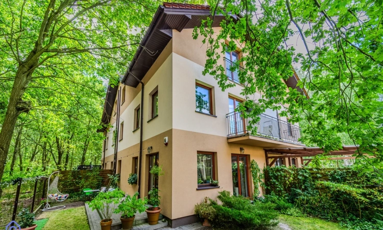 SEGMENT W ZIELONEJ CZĘŚCI BIELAN | Zdjęcie główne