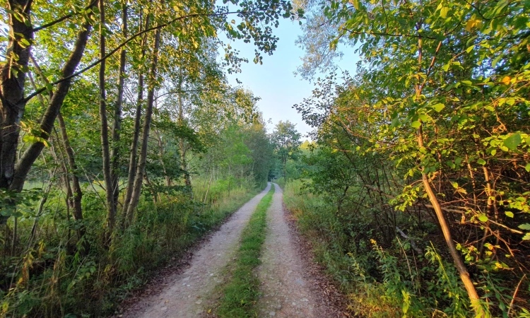 wz, lokalizacja, możliwość dokupienia działek obok | Zdjęcie główne
