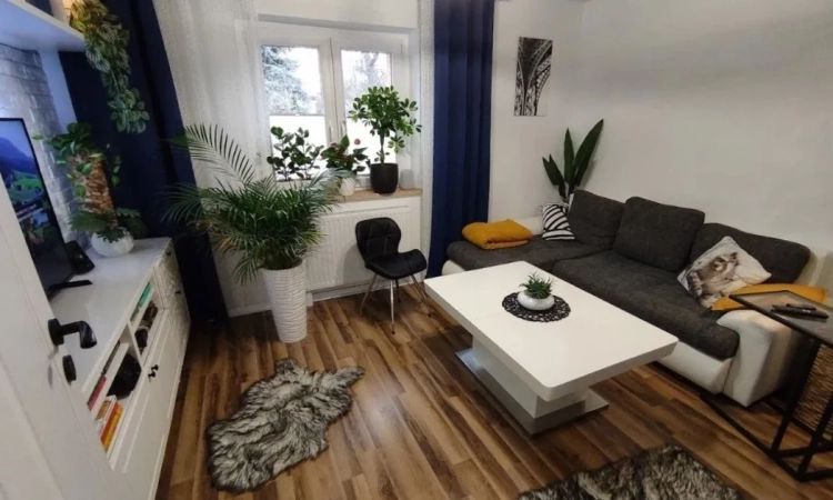 3pok, 55met, Okolice Klecińskiej PIWNICA/OGRÓD (Wrocław) | Zdjęcie główne