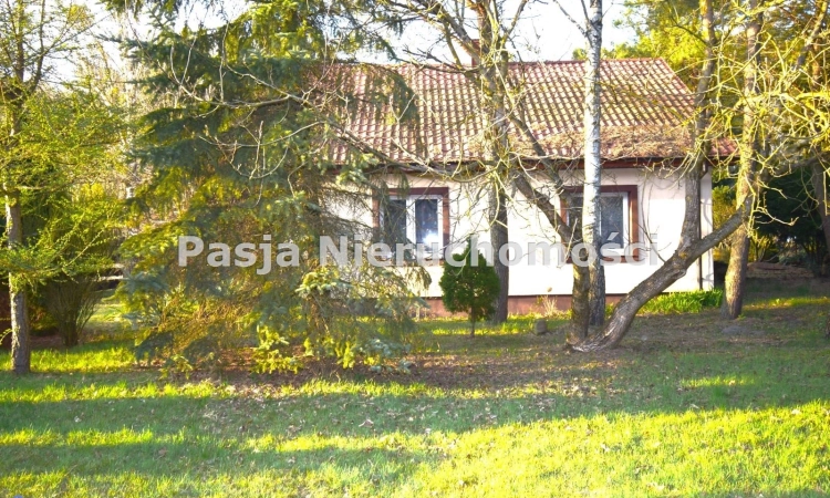 Siedlisko przy lesie | Zdjęcie główne