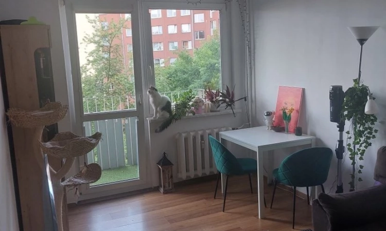 2pok, 41met, okolice Paprotnej BALKON/PIWNICA/WINDA (Wrocław) | Zdjęcie główne