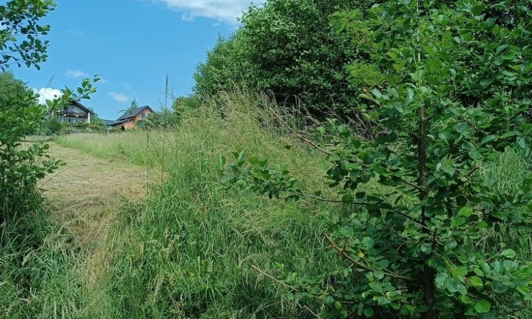 Wieliczka Sułów działka rolna przy asfalcie | Zdjęcie główne