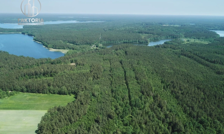 Działka z dużym potencjałem, 500 m do jeziora | Zdjęcie główne