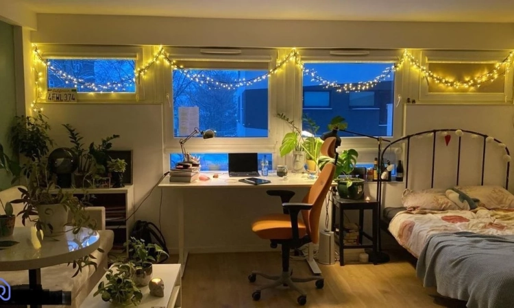 1pok, 26met, okolice Marcinkowskiego WINDA/2014 (Wrocław) | Zdjęcie główne