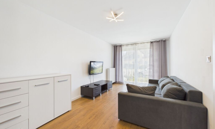 Wynajmę| 2 pokoje| | osobna kuchnia| ogródek | Zdjęcie główne