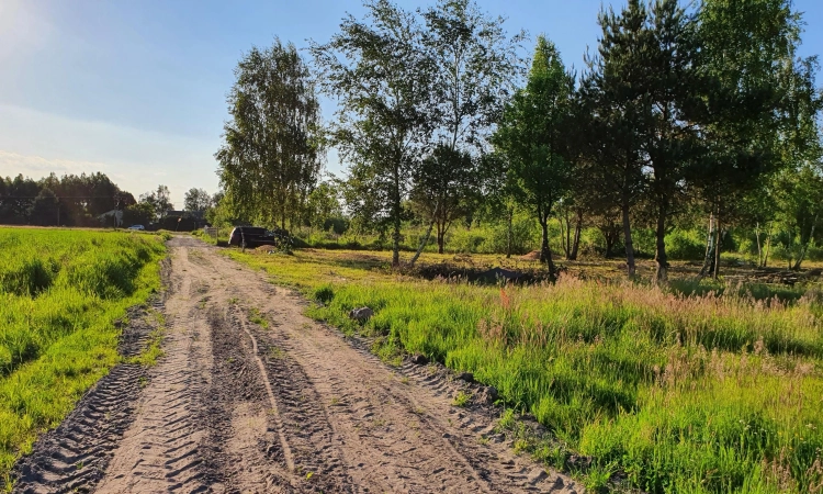 7 działek, ul. Szlachty, drzewa, niedługo MPZP | Zdjęcie główne