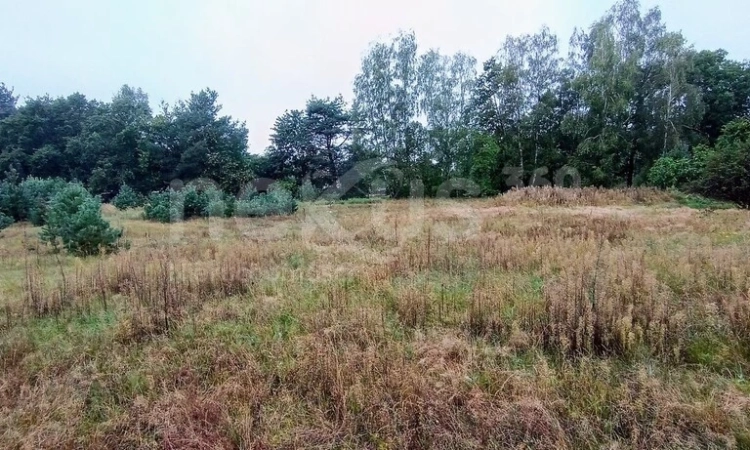 Okazja - działki budowlane w Domasławicach | Zdjęcie główne