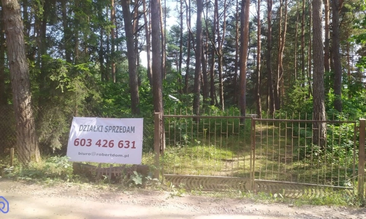 Działka w lesie. | Zdjęcie główne
