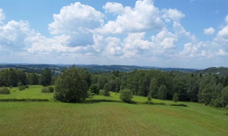 Cała Budowlana !!!!! | Zdjęcie główne