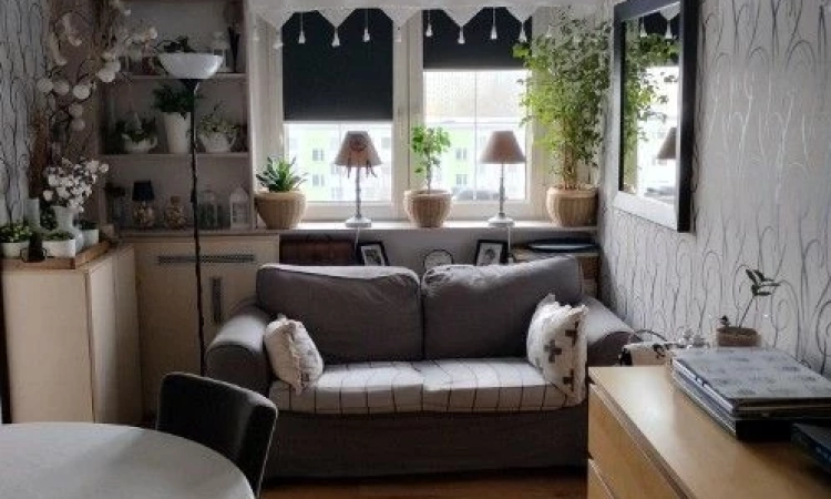 2pok, 36met, Okolice Ślicznej WINDA (Wrocław) | Zdjęcie główne