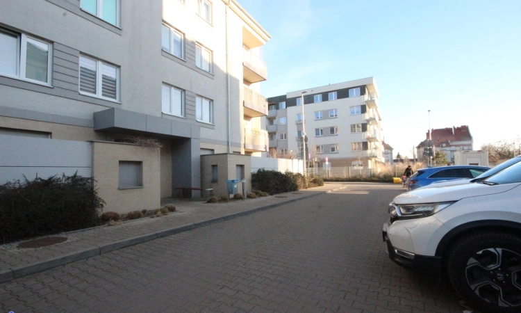 2pok, 46met, okolice Tarnogajskiej TARAS/OGRÓD/2013 (Wrocław) | Zdjęcie główne