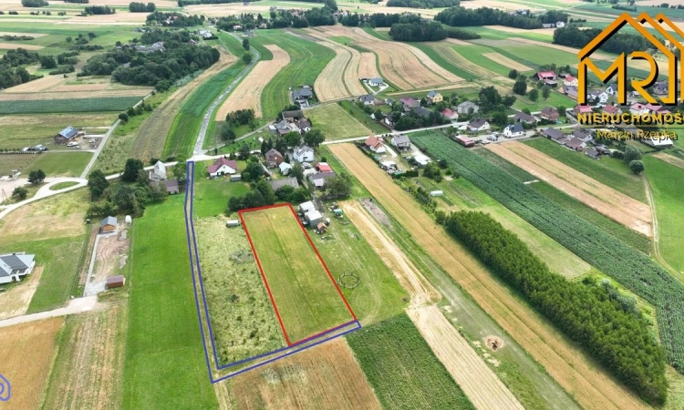 Działka z wydanymi warunkami zabudowy w gminie Lis | Zdjęcie główne