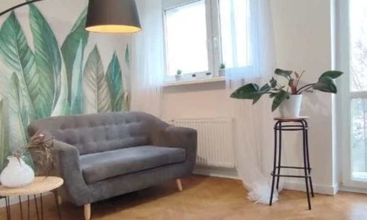 3pok, 45met, Okolice Zaporskiej ROZKŁAD/PIWNICA (Wrocław) | Zdjęcie główne