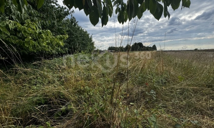 Działka w cichej okolicy z dużym potencjałem | Zdjęcie główne