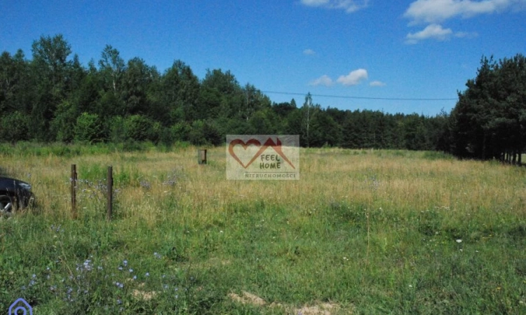 DZIAŁKA Z WARUNKAMI ZABUOWY W SZCZYTNIE 47 ARÓW | Zdjęcie główne