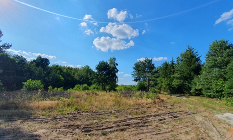 Krucza blisko Złotej, wz, lokalizacja, media | Zdjęcie główne