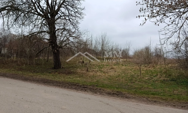 Działka rolna z możliwością zabudowy w Pęciszewie. | Zdjęcie główne
