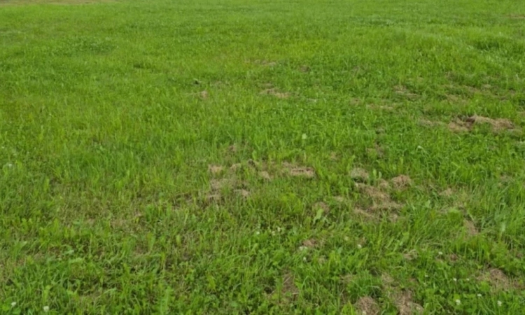 Działka Budowlana (400 m2) okolica Samotworu MEDIA (Gałów) | Zdjęcie główne