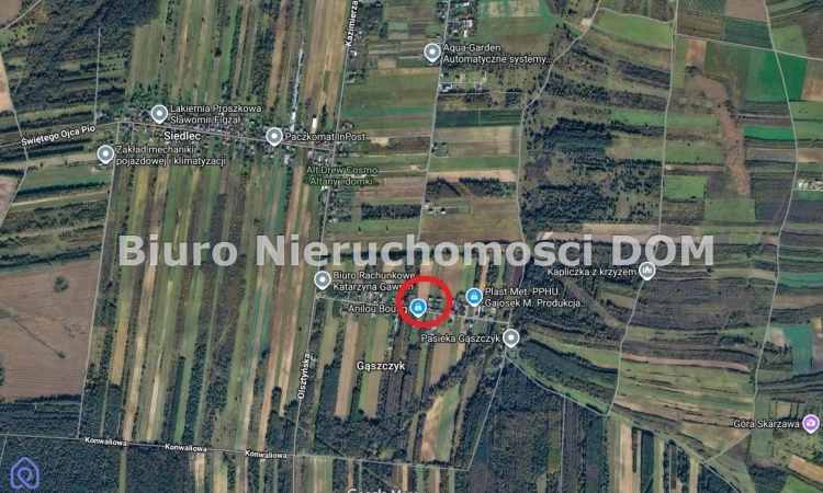 Działka, Gąszczyk | Zdjęcie główne