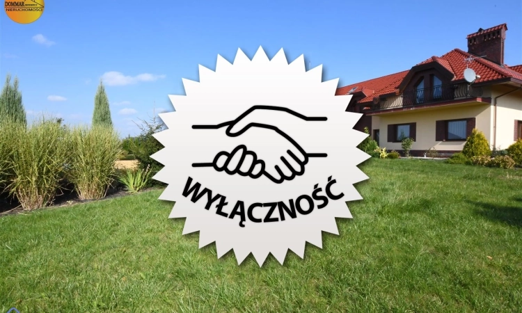 A może coś oryginalnego | Zdjęcie główne