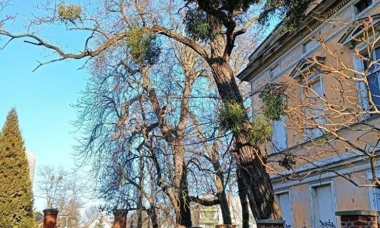 2pok, 84met, Okolice Cukrowej PIWNICA/STRYCH/OGRÓD (Wrocław) | Zdjęcie główne