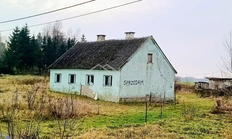 Dom wolnostojący do remontu - Warmia | Zdjęcie główne