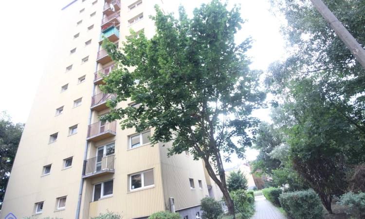 2pok, 47met, okolice Placu Grunwaldzkiego ROZKŁAD (Wrocław) | Zdjęcie główne