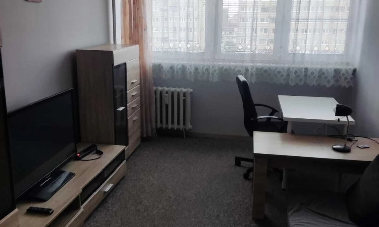 2pok, 39met, Okolice Salezjańskiej PIWNICA/WINDA (Wrocław) | Zdjęcie główne