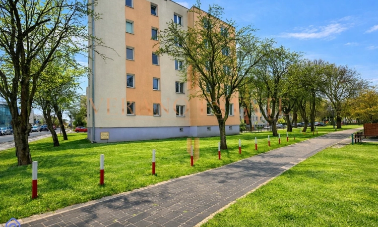 Okazja I Centrum I 3 pokoje I 47,54m2 | Zdjęcie główne