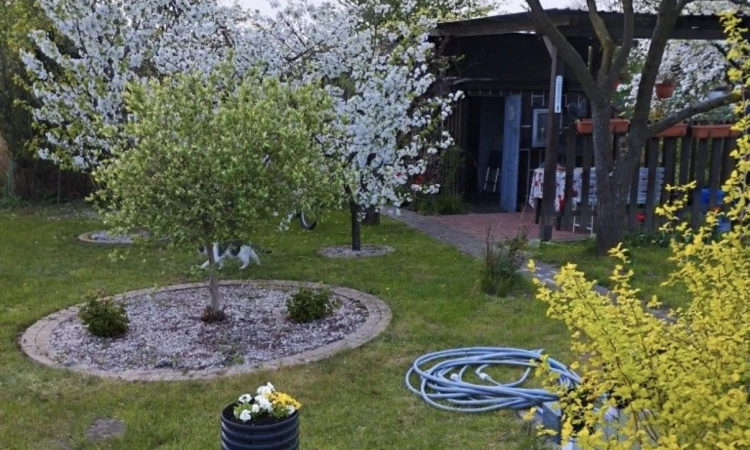 Działka Rekreacyjna (300 m2) ul. Norwida ALTANKA (Kluczbork) | Zdjęcie główne